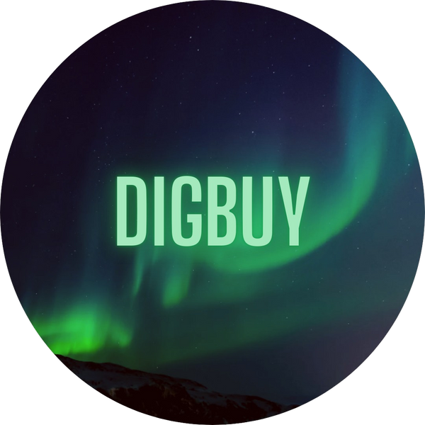 Digbuy